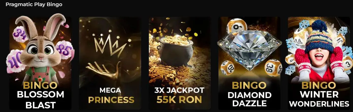 bingo princess casino